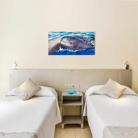 Andrea's Hotell Los Cristianos (Tenerife)