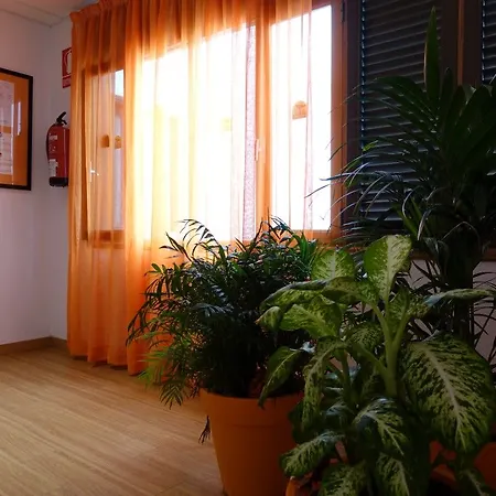 Hotell Andrea's Los Cristianos (Tenerife)