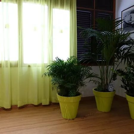 安德里亚斯酒店 酒店 洛斯克里斯蒂亚诺斯