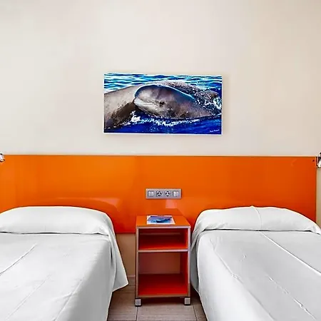 Andrea's Hotel