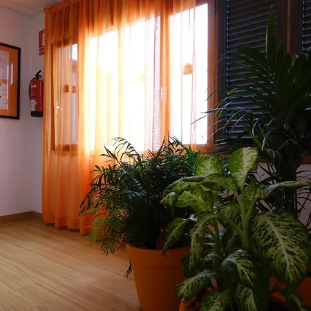 Hotel Andrea's Los Cristianos (Tenerife)