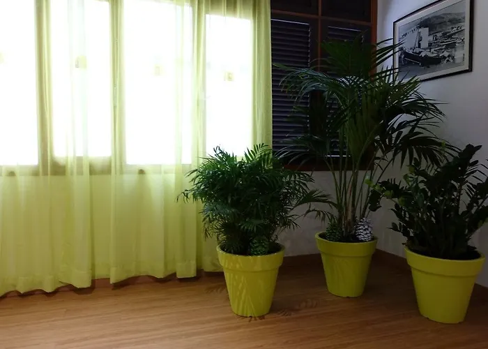 Andrea's Hotel Los Cristianos (Tenerife)