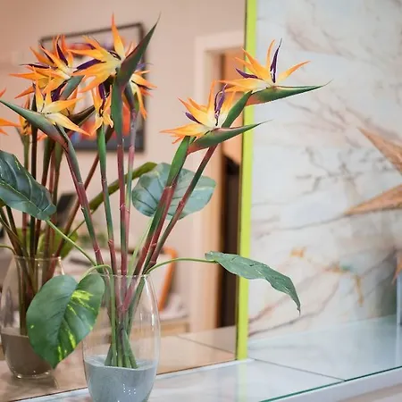 Andrea's ホテル 2*