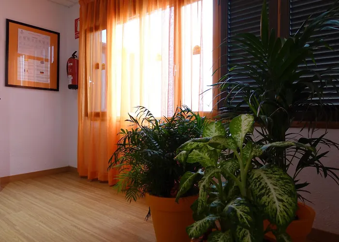 Szálloda Andrea's Los Cristianos